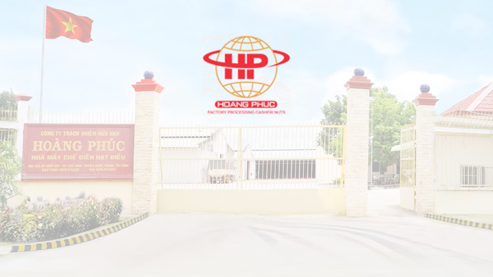 Hoang Phuc ltd