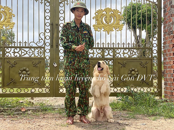 Vì sao nên huấn luyện chó từ khi còn nhỏ