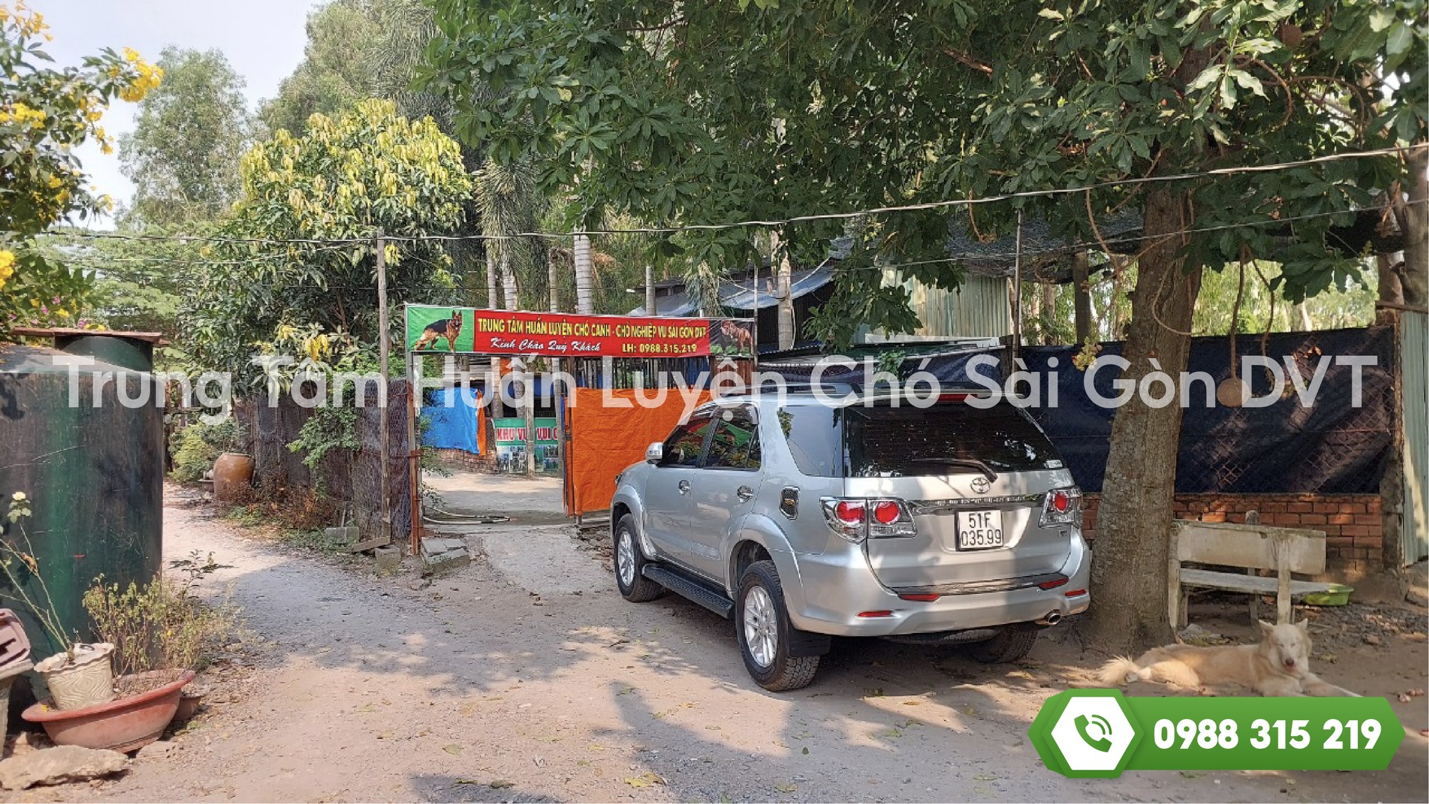 Bí quyết huấn luyện chó hiệu quả: Hướng dẫn từ cơ bản đến nâng cao