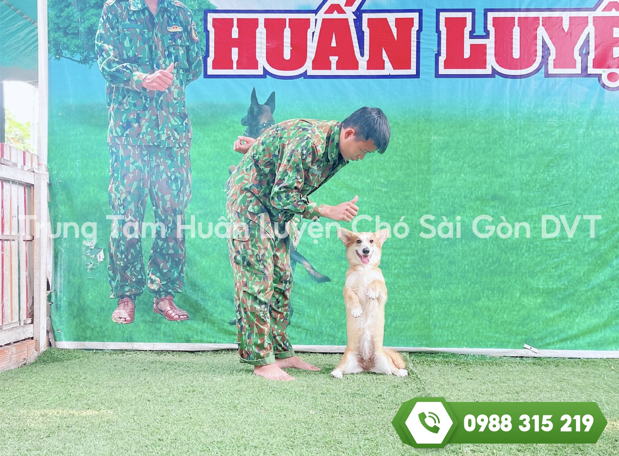 Bảng giá huấn luyện chó Sài gòn 2024