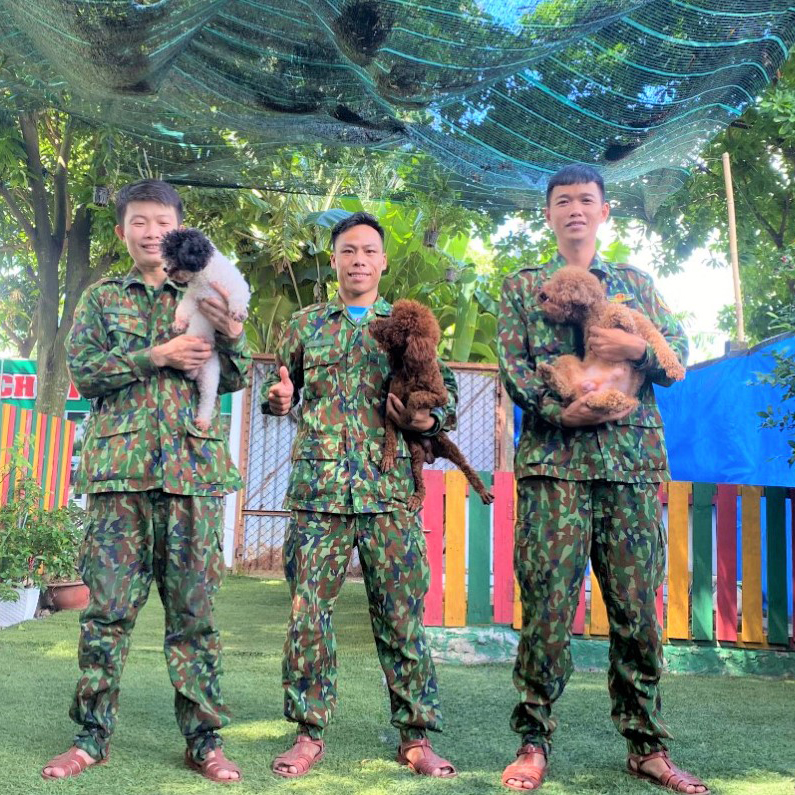 Huấn Luyện Chó Poodle