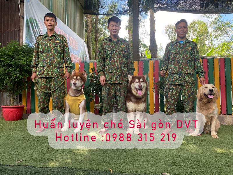 Huấn Luyện Chó Malinois