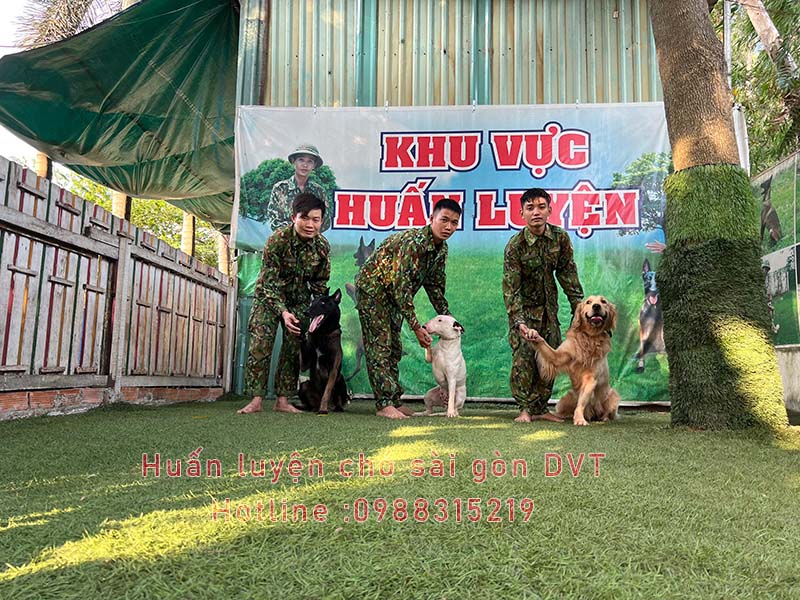 Trung tâm huấn luyện Sài gòn DVT  tại Quận 1