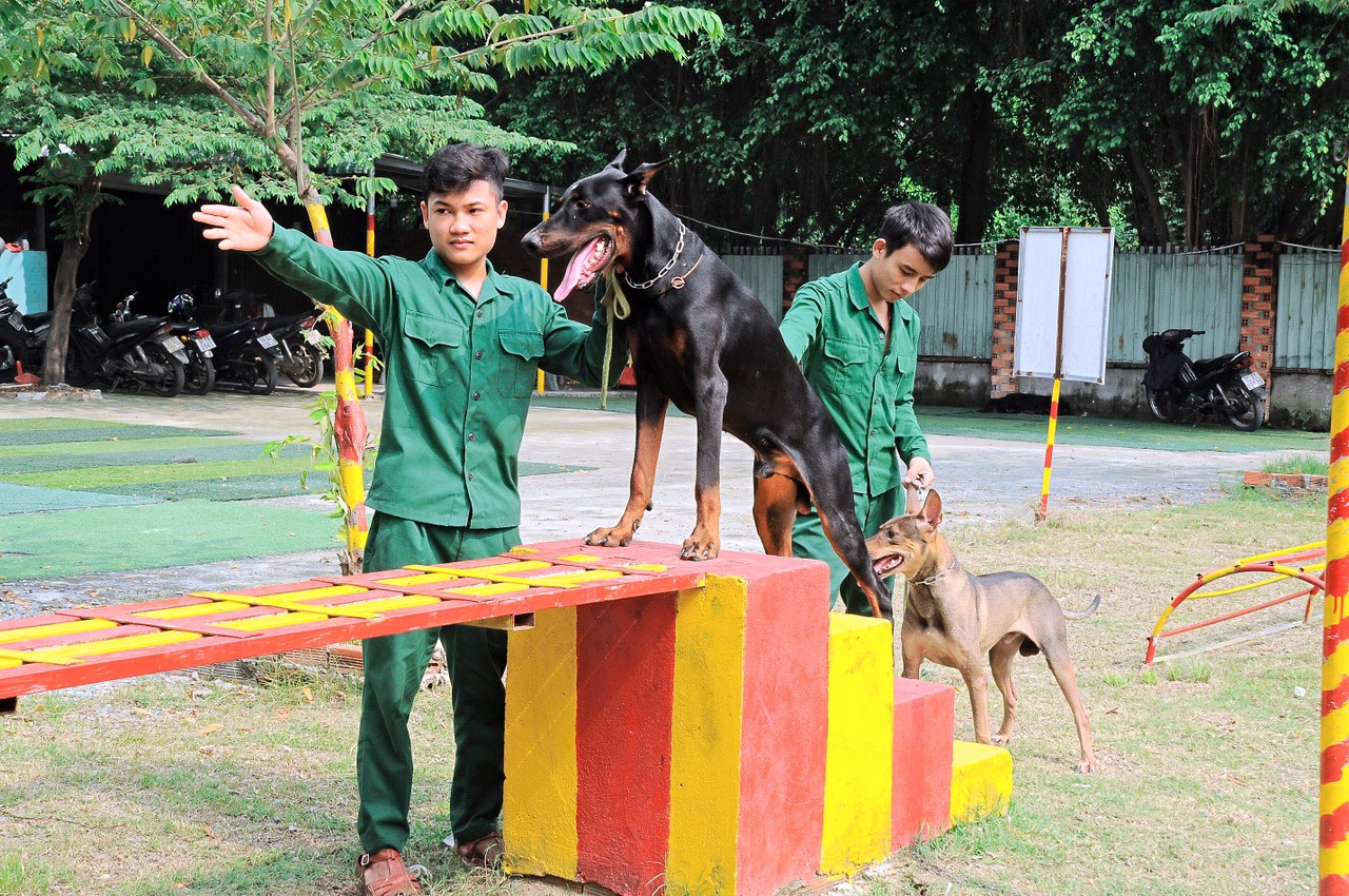 3  Cách dạy chó nghe lời chủ từ khi còn nhỏ cực kỳ hiệu quả