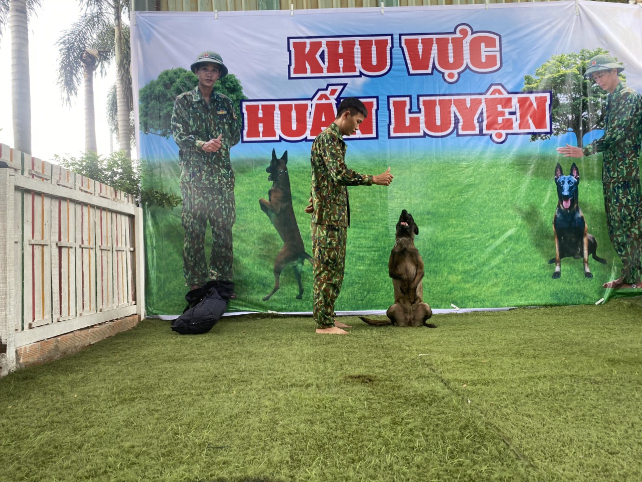 Huấn Luyện Chó Malinois