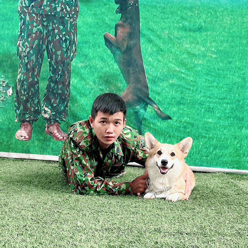 Giới thiệu về Phương Pháp Huấn Luyện Corgi Hiệu Quả Ngay Tại Nhà