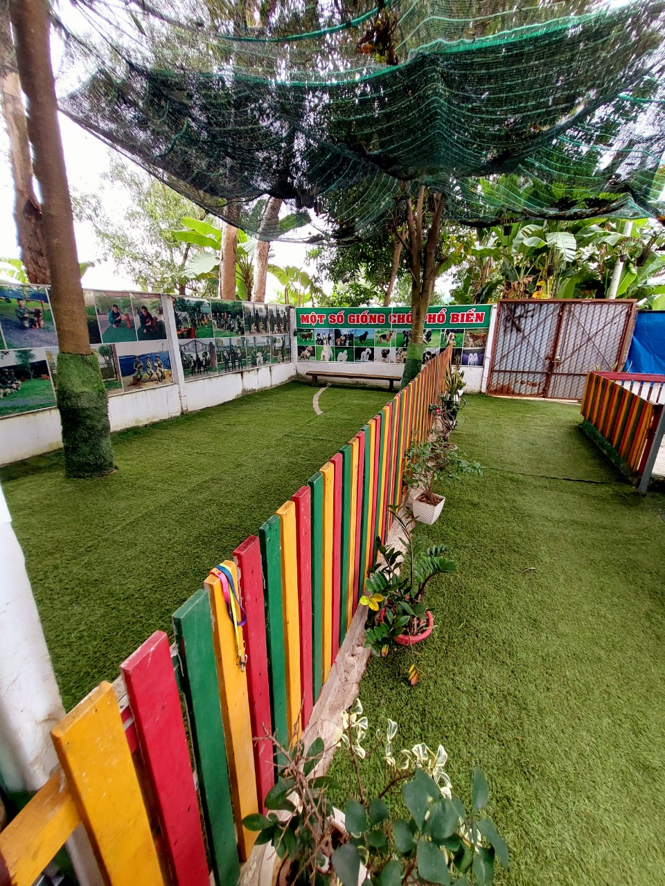 Dịch vụ trông giữ chó mèo Tại Huấn luyện chó Sài Gòn DVT