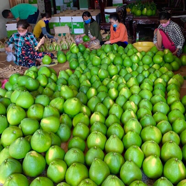 Agricultural products