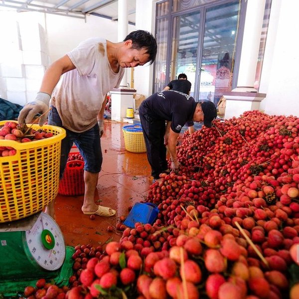 Agricultural products