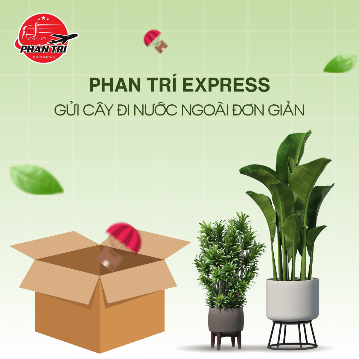 Gửi Cây Đi Nước Ngoài Đơn Giản – Nhanh Chóng – An Toàn Cùng Phan Trí Express