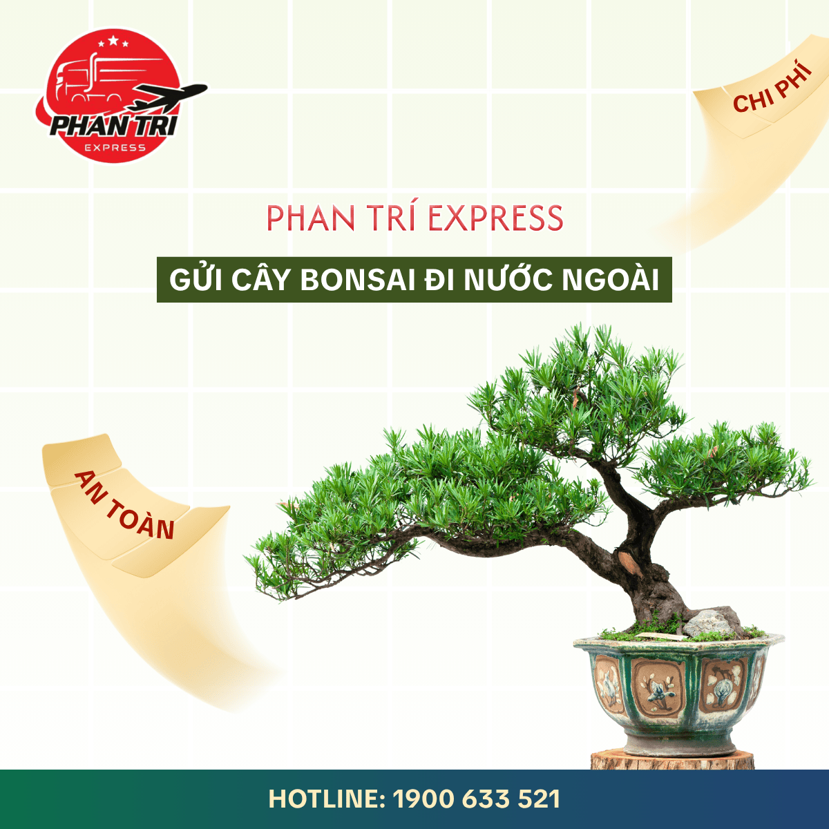 Gửi cây bonsai đi nước ngoài đơn giản cùng Phan Trí Express