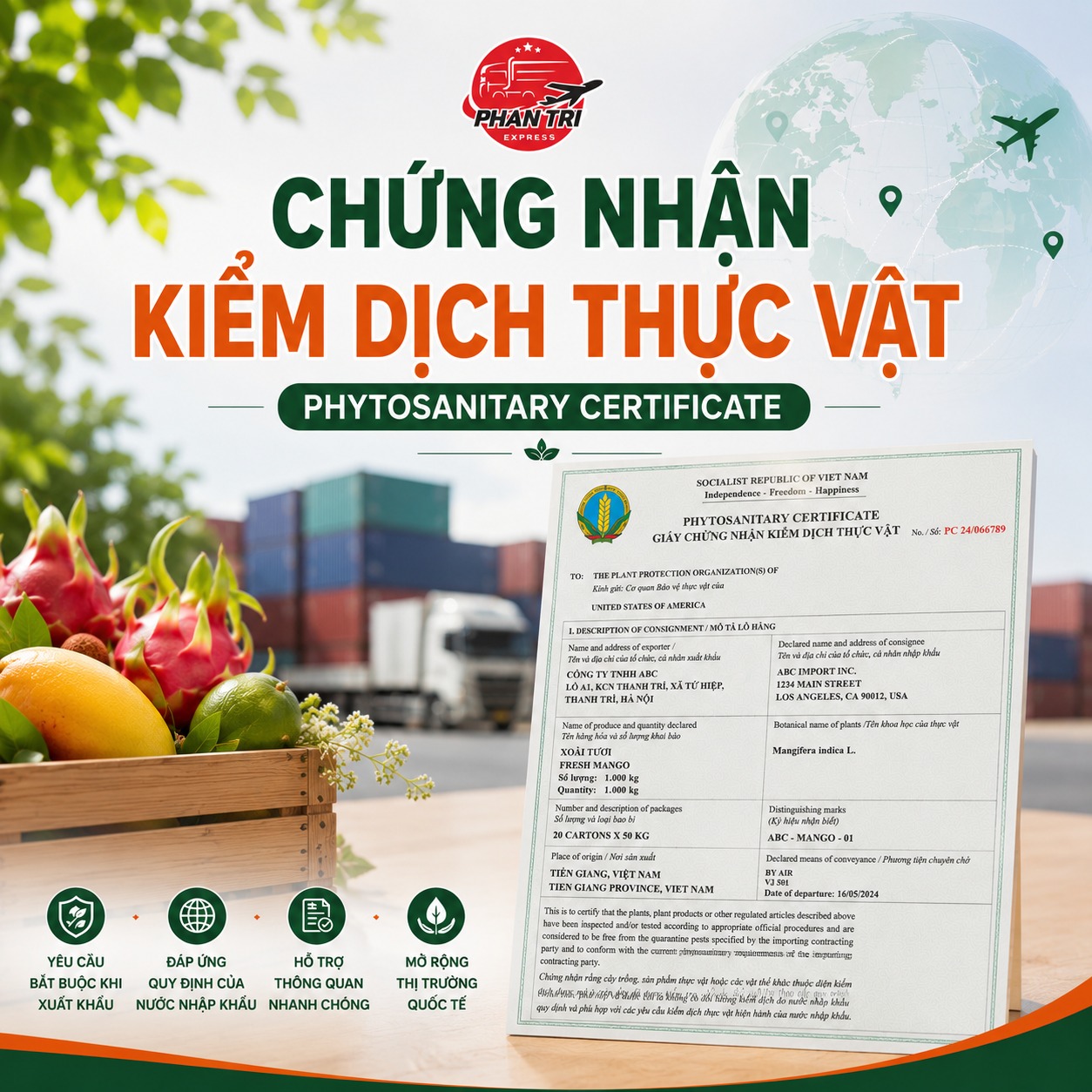 Chứng nhận kiểm dịch thực vật (Phytosanitary Certificate) là gì? Khi nào cần và quy trình xin cấp