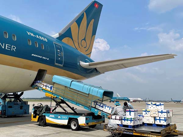 Cơ hội để ngành vận tải hàng hóa hàng không “cất cánh”