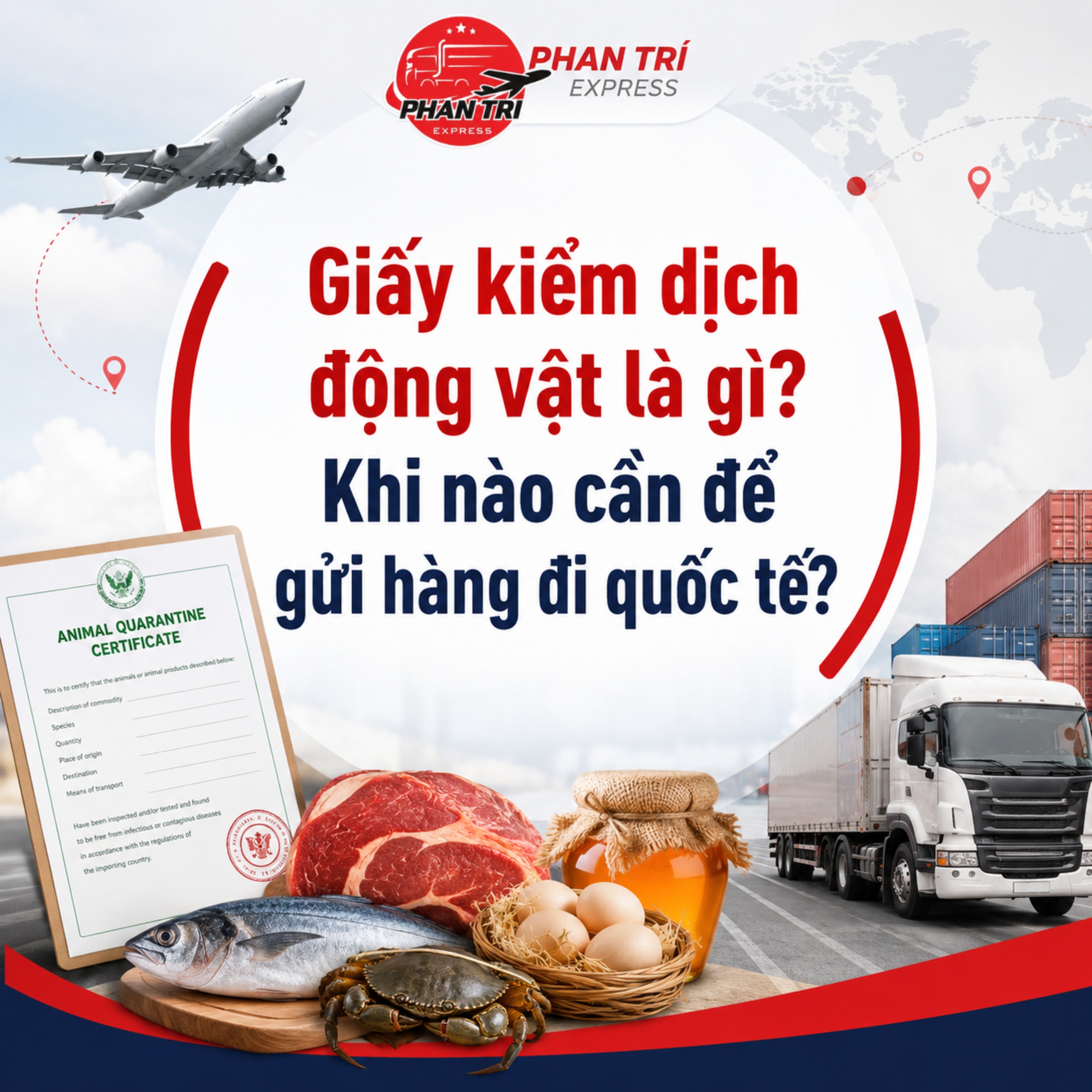Giấy kiểm dịch động vật là gì? Khi nào cần để gửi hàng đi quốc tế?