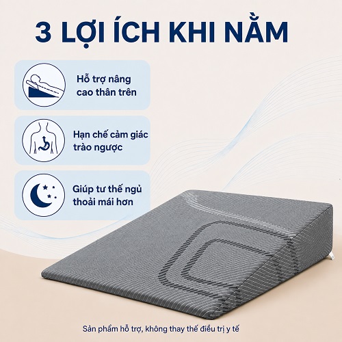 GỐI CHỐNG TRÀO NGƯỢC