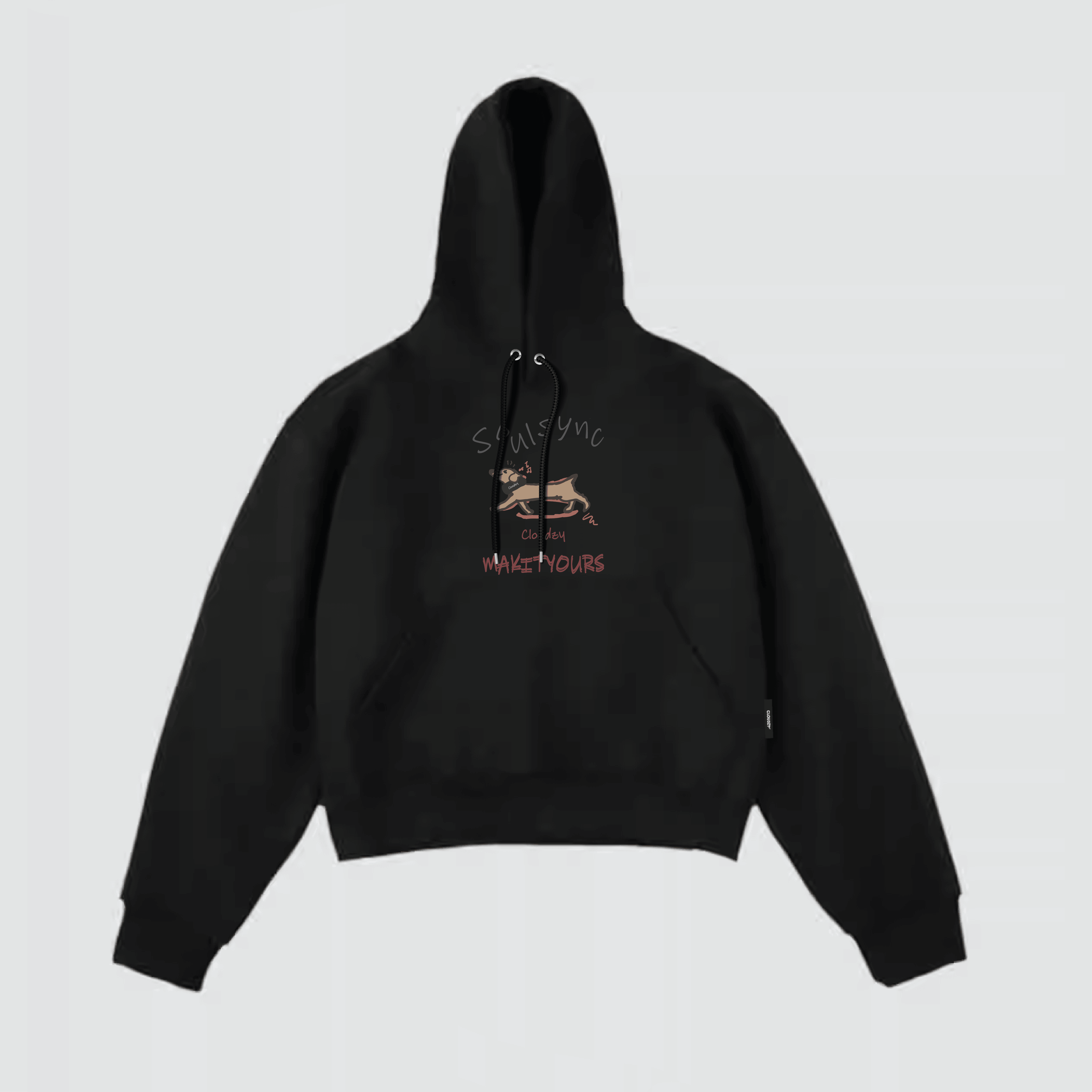 Áo khoác hoodie boxy SYNC nỉ bông nam local brand CLOUDZY hoodie nữ unisex form rộng basic TH HOODIE BOXY