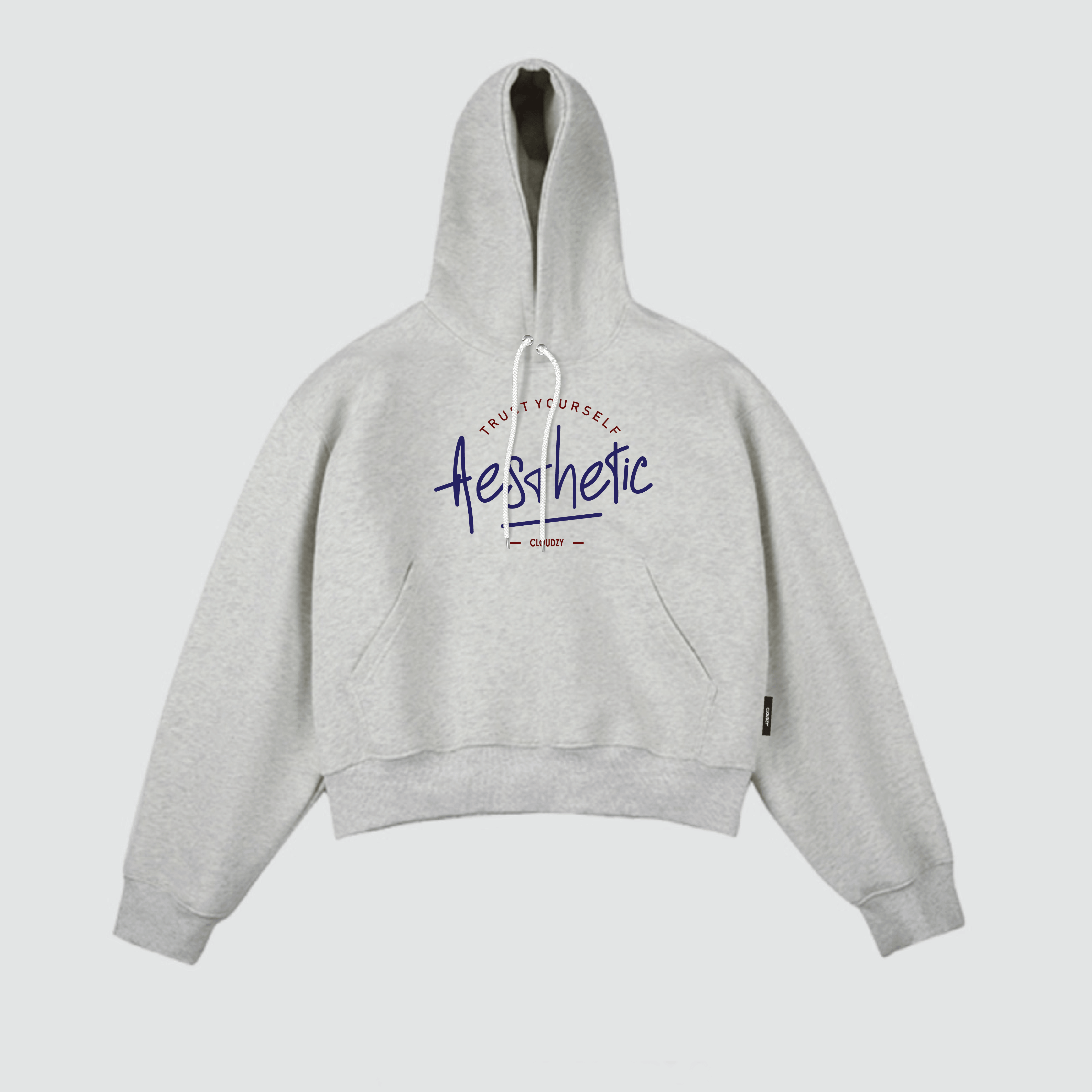 Áo khoác hoodie boxy TRUST nỉ bông nam local brand CLOUDZY hoodie nữ unisex form rộng basic TH HOODIE BOXY