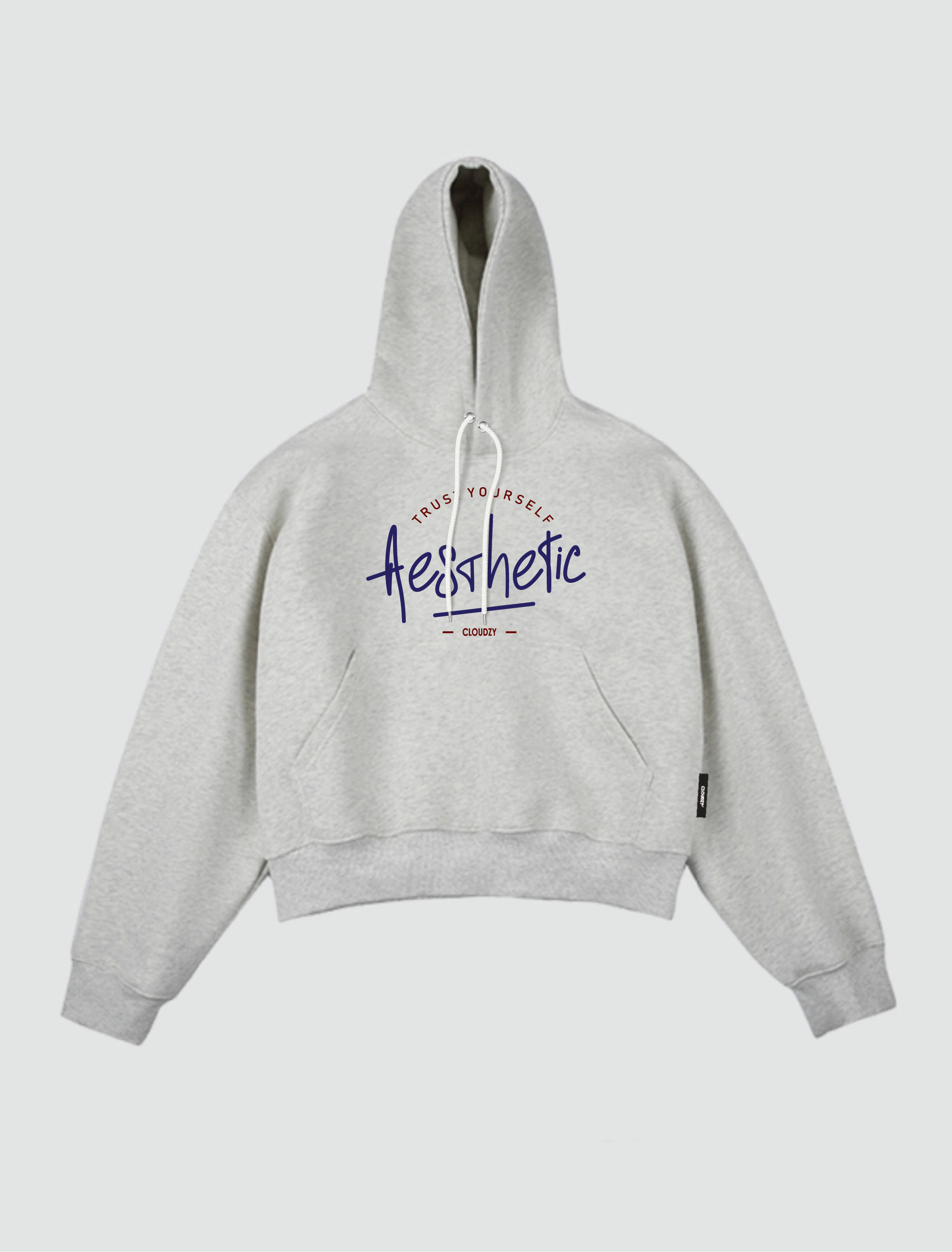 Áo khoác hoodie boxy nỉ nam local brand hoodie nữ unisex form rộng basic tay phồng CLOUDZY TRUST