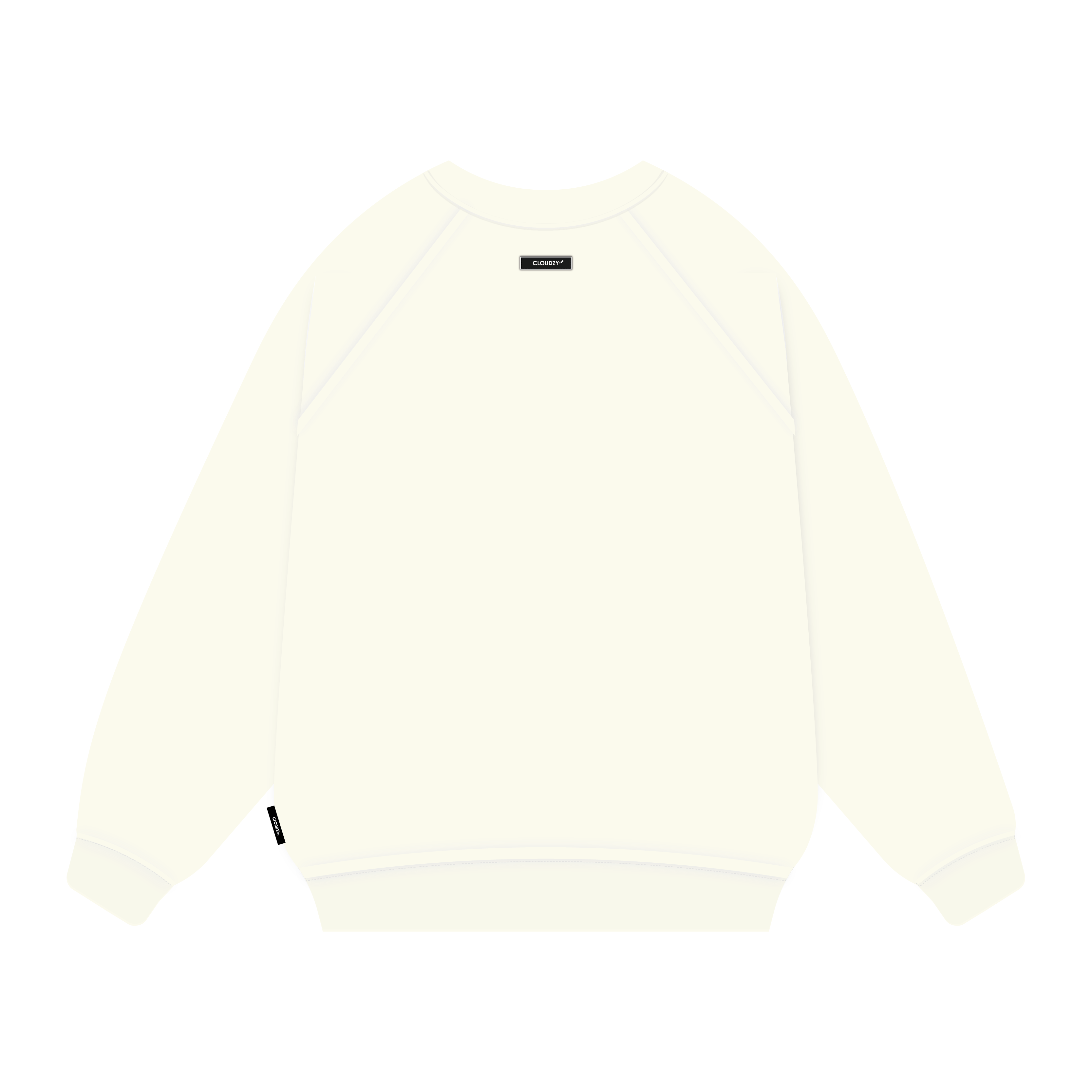 SWEATER VIOLIN