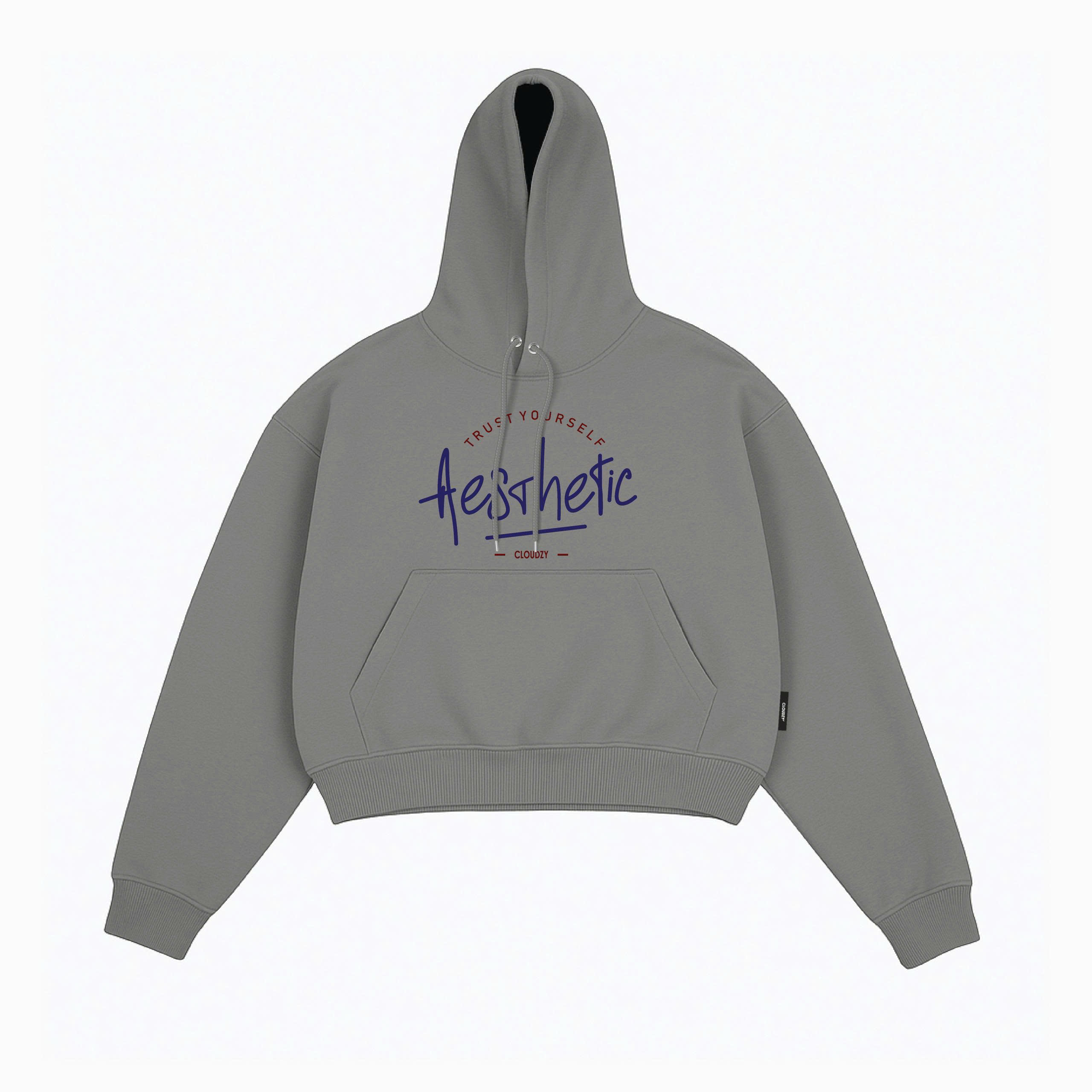 Áo khoác hoodie boxy TRUST nỉ bông nam local brand CLOUDZY hoodie nữ unisex form rộng basic TH HOODIE BOXY