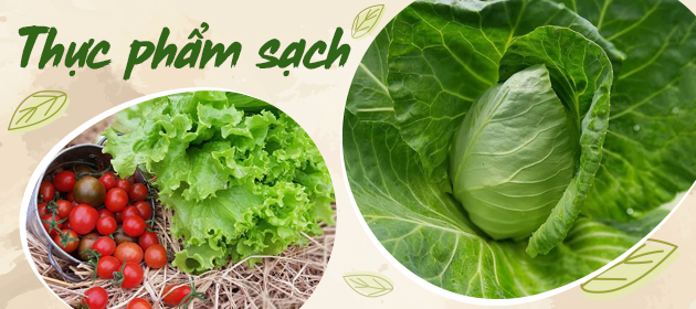 Thực phẩm sạch Tây Đô