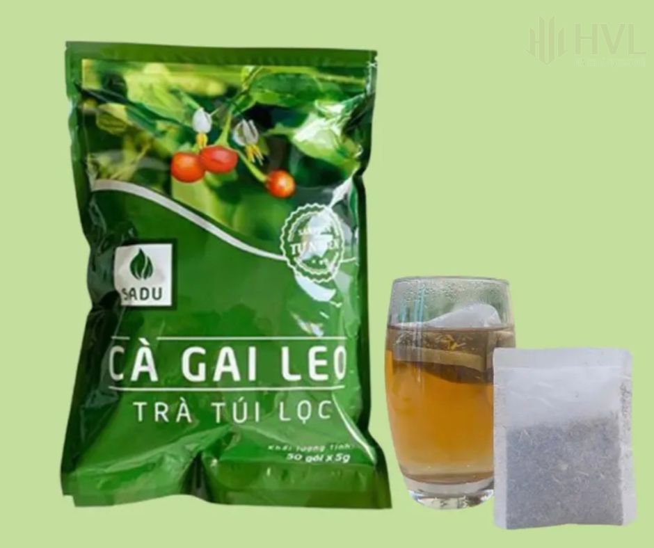 Công dụng nổi bật của trà cà gai leo túi lọc SADU.