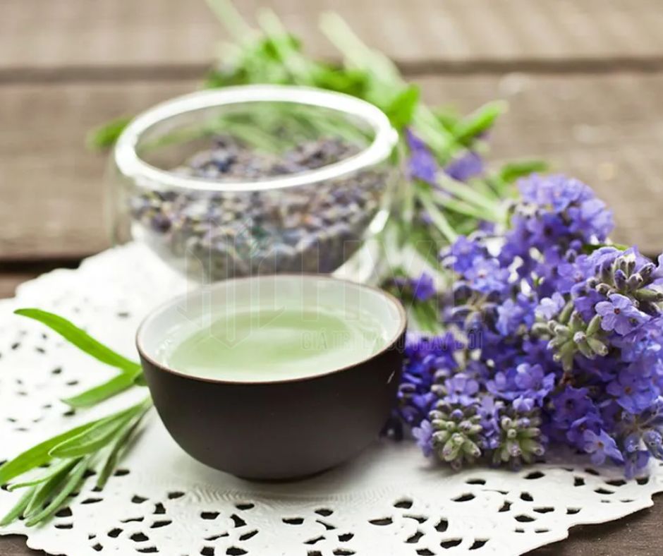 Top 5 Loại Túi Lọc Trà Hoa Được Yêu Thích Nhất Hiện Nay