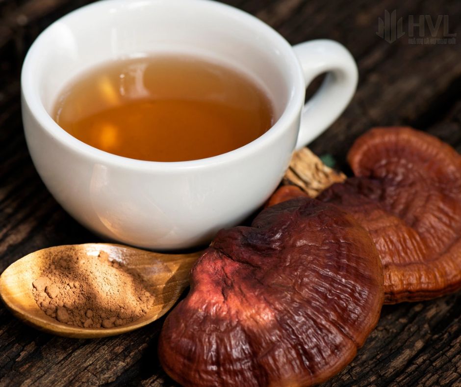 Lợi ích của trà túi lọc nấm linh chi đối với sức khỏe.