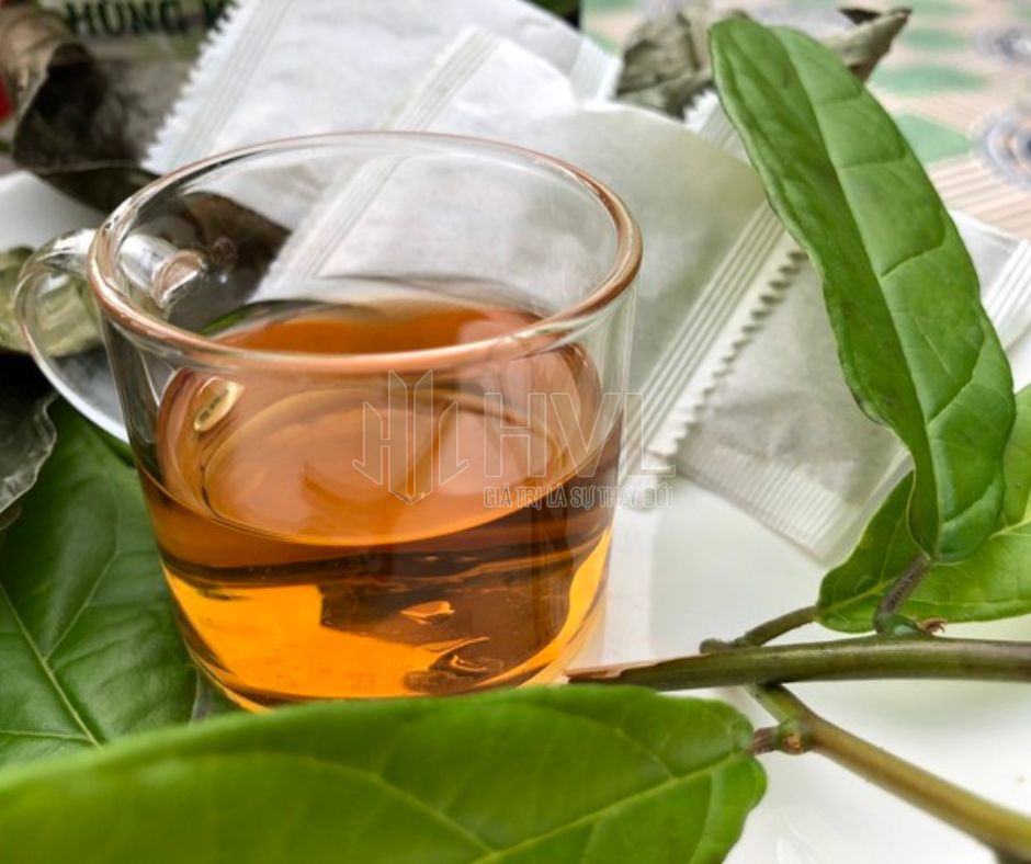 Review Trà Túi Lọc Tam Thất Xạ Đen: Hương Vị Và Hiệu Quả Thực Tế