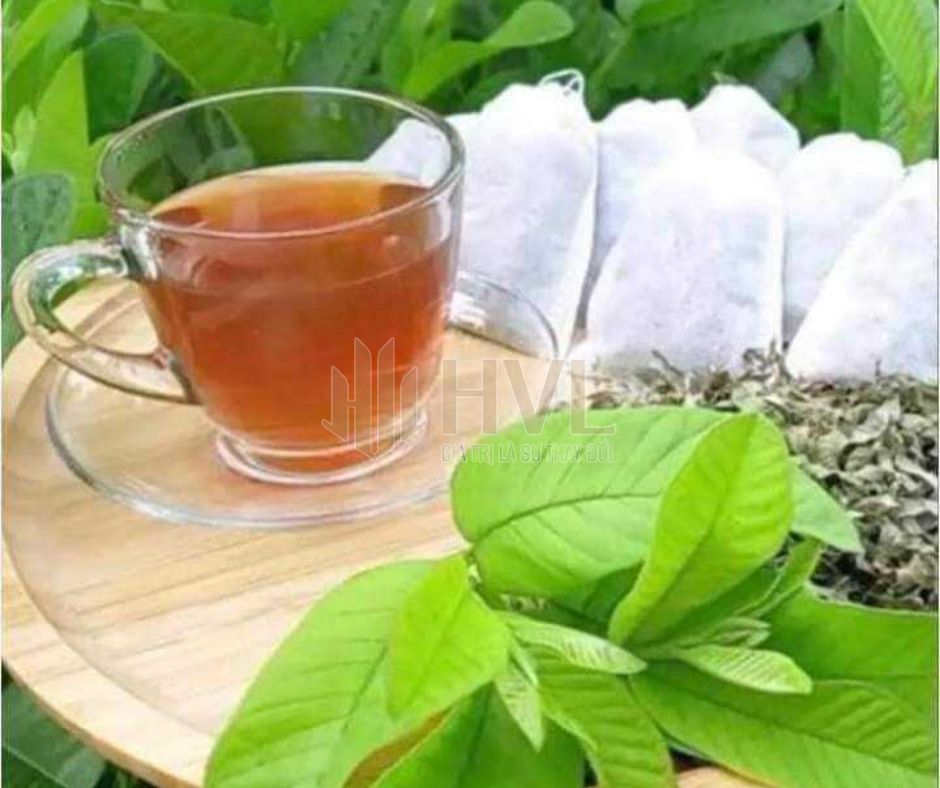 Trà Túi Lọc Lá Ổi: Bí Quyết Hỗ Trợ Tiêu Hóa & Kiểm Soát Đường Huyết