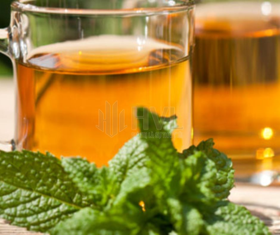 Trà Túi Lọc Bạc Hà: Thức Uống Thư Giãn Giúp Giảm Stress Hiệu Quả