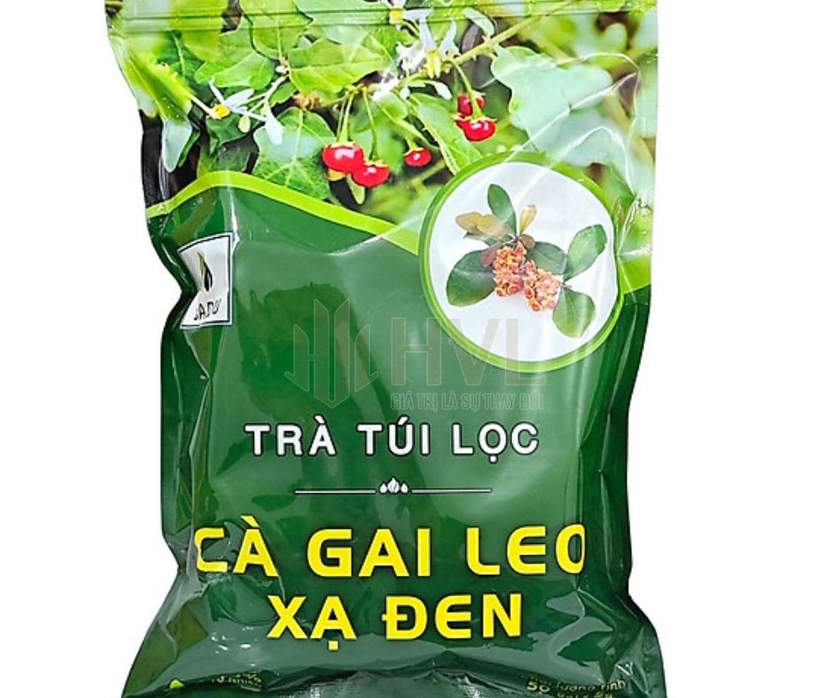 Review Nhanh Trà Túi Lọc Cà Gai Leo Xạ Đen