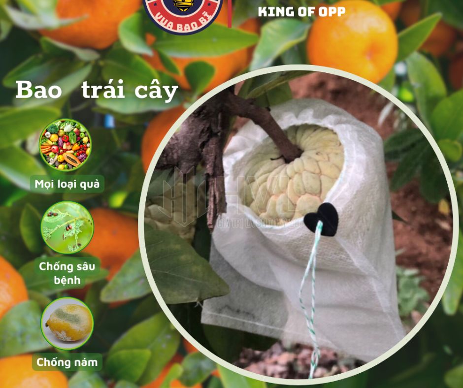 Các Loại Vải May Túi Bọc Trái Cây & Ứng Dụng Trong Nông Nghiệp