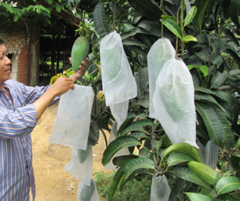 Cách Sử Dụng Túi Bọc Trái Cây Chống Côn Trùng Hiệu Quả