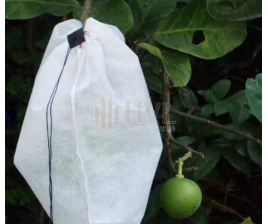 Hướng Dẫn Chọn Mua Dụng Cụ Bọc Trái Cây Phù Hợp Nhất