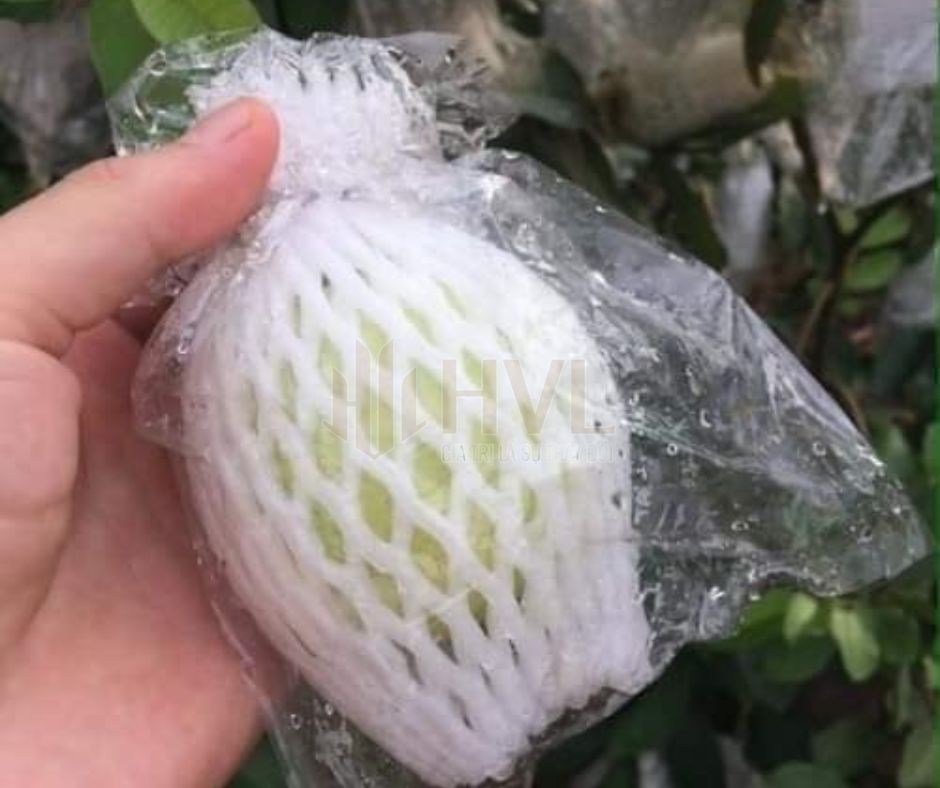 Túi Xốp Bọc Trái Cây Có Tốt Không?