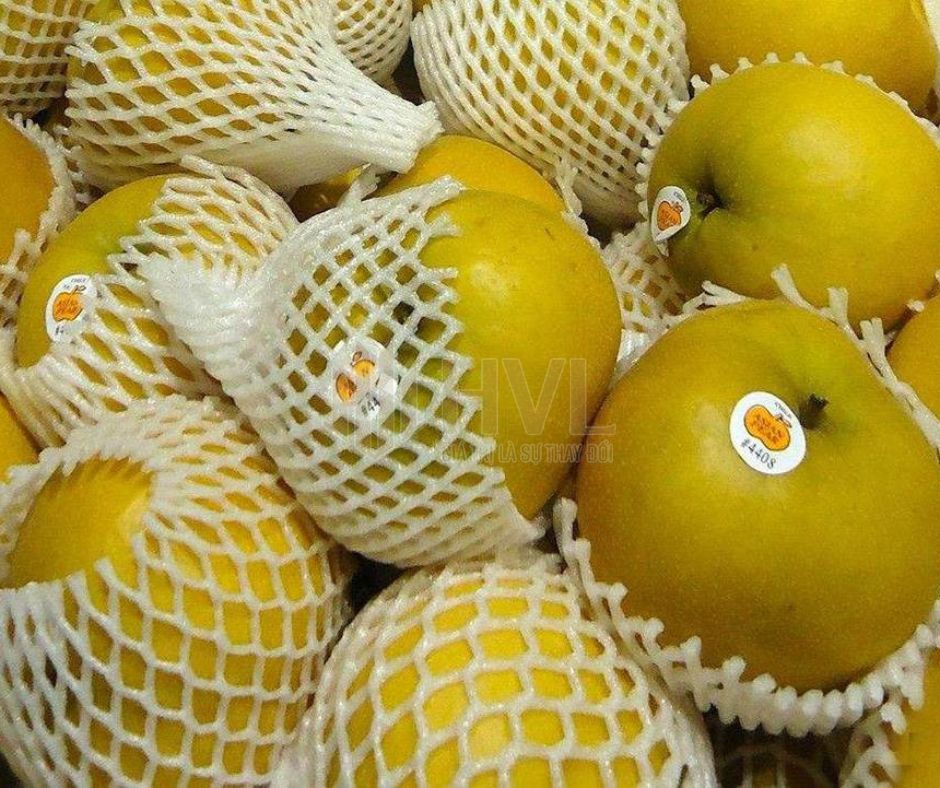 Mua Lưới Xốp Bọc Trái Cây Hà Nội Sỉ & Lẻ