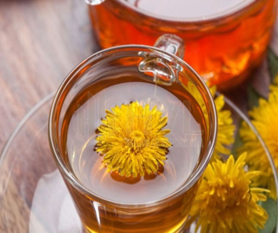 Top 5 Công Dụng Thần Kỳ Của Trà Túi Lọc Bồ Công Anh.