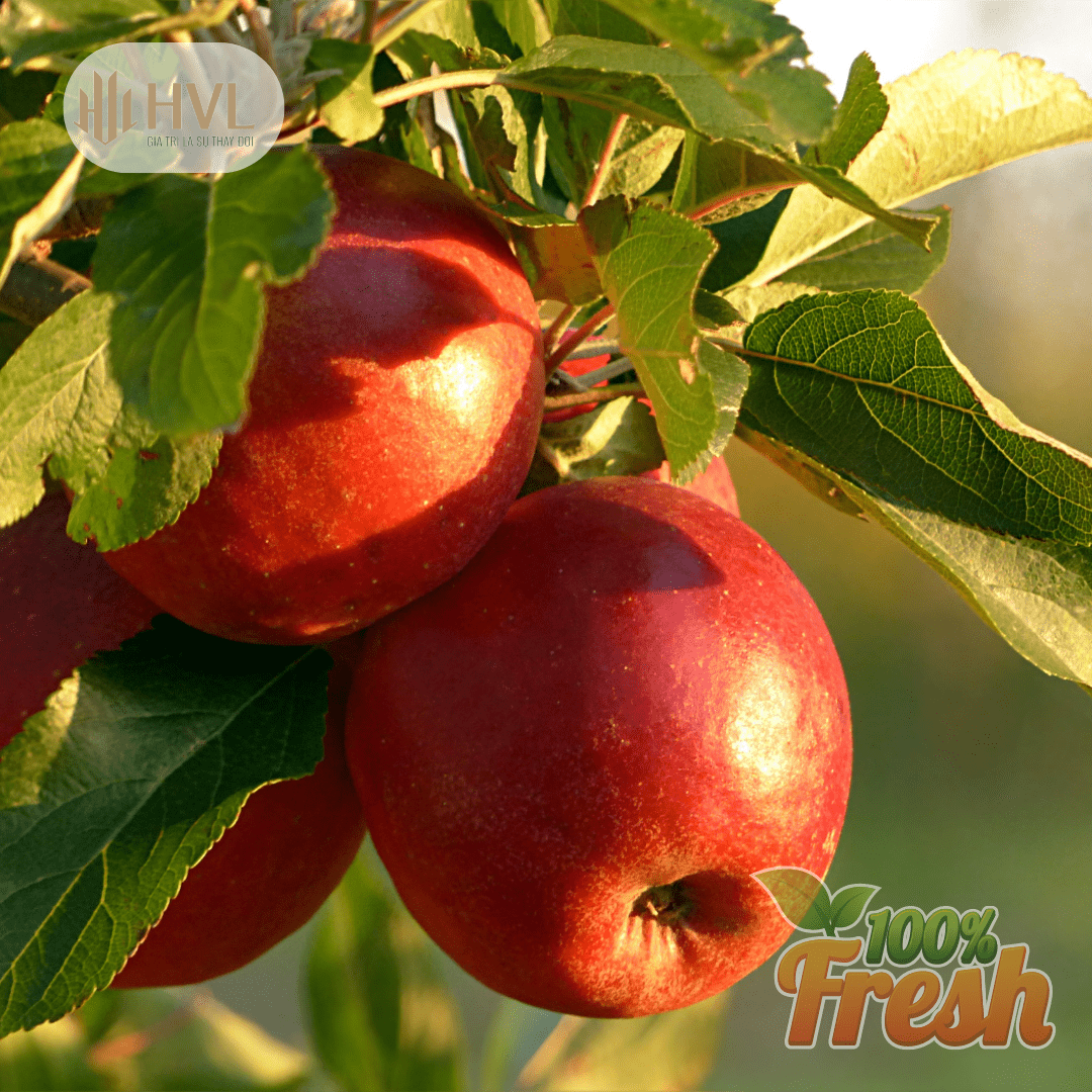 Ăn Táo có giúp giảm cân không?