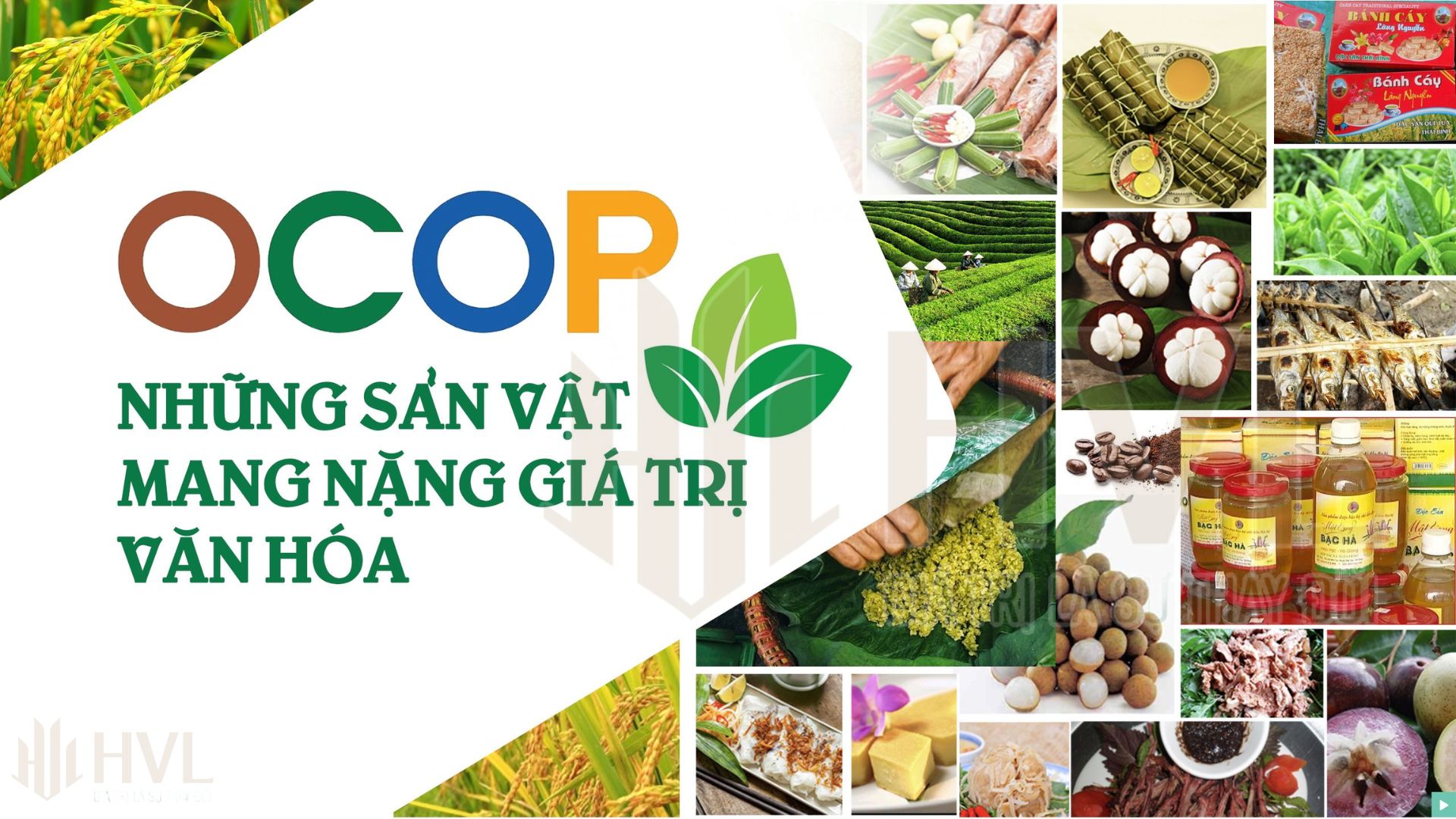 OCOP LÀ GÌ? 5 ĐIỀU BẠN CẦN BIẾT VỀ CHƯƠNG TRÌNH OCOP.