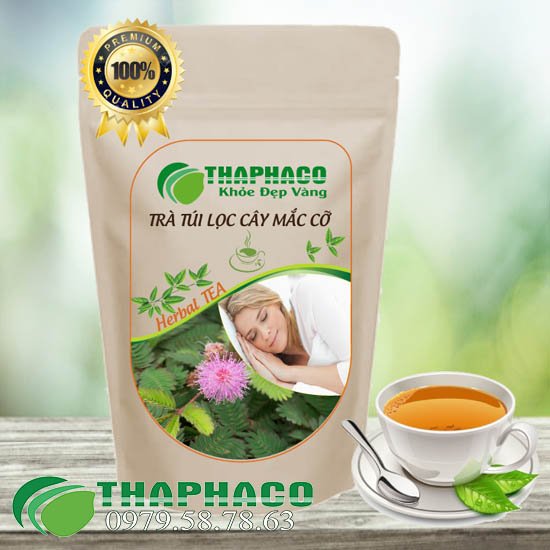 Công dụng tuyệt vời của trà túi lọc cây xấu hổ.