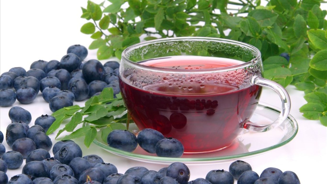 Uống Trà Túi Lọc Việt Quất Có Lợi Ích Gì? Những Điều Bạn Cần Biết