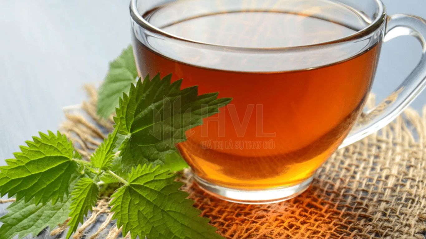 Top 5 Thương Hiệu Túi Lọc Trà Xanh Được Ưa Chuộng Nhất Hiện Nay