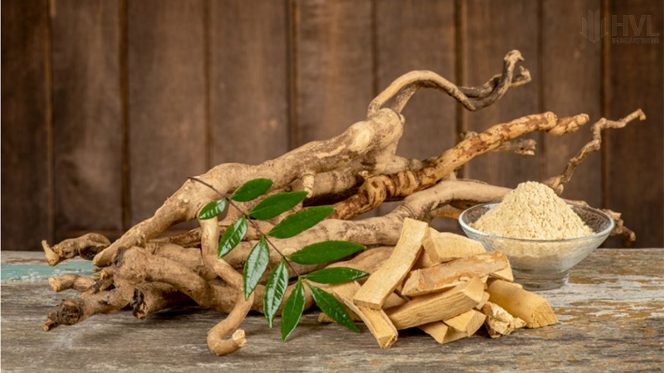 Trà Túi Lọc Mật Nhân Và Những Lưu Ý Quan Trọng Khi Sử Dụng