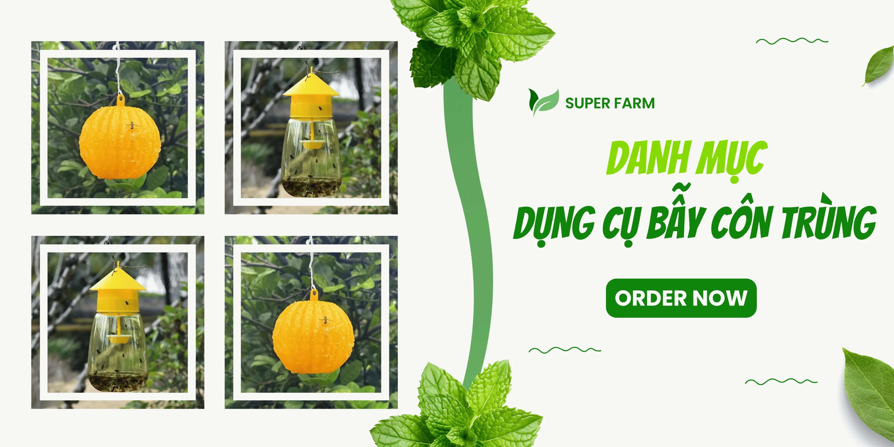 Dụng Cụ Bẫy Côn Trùng