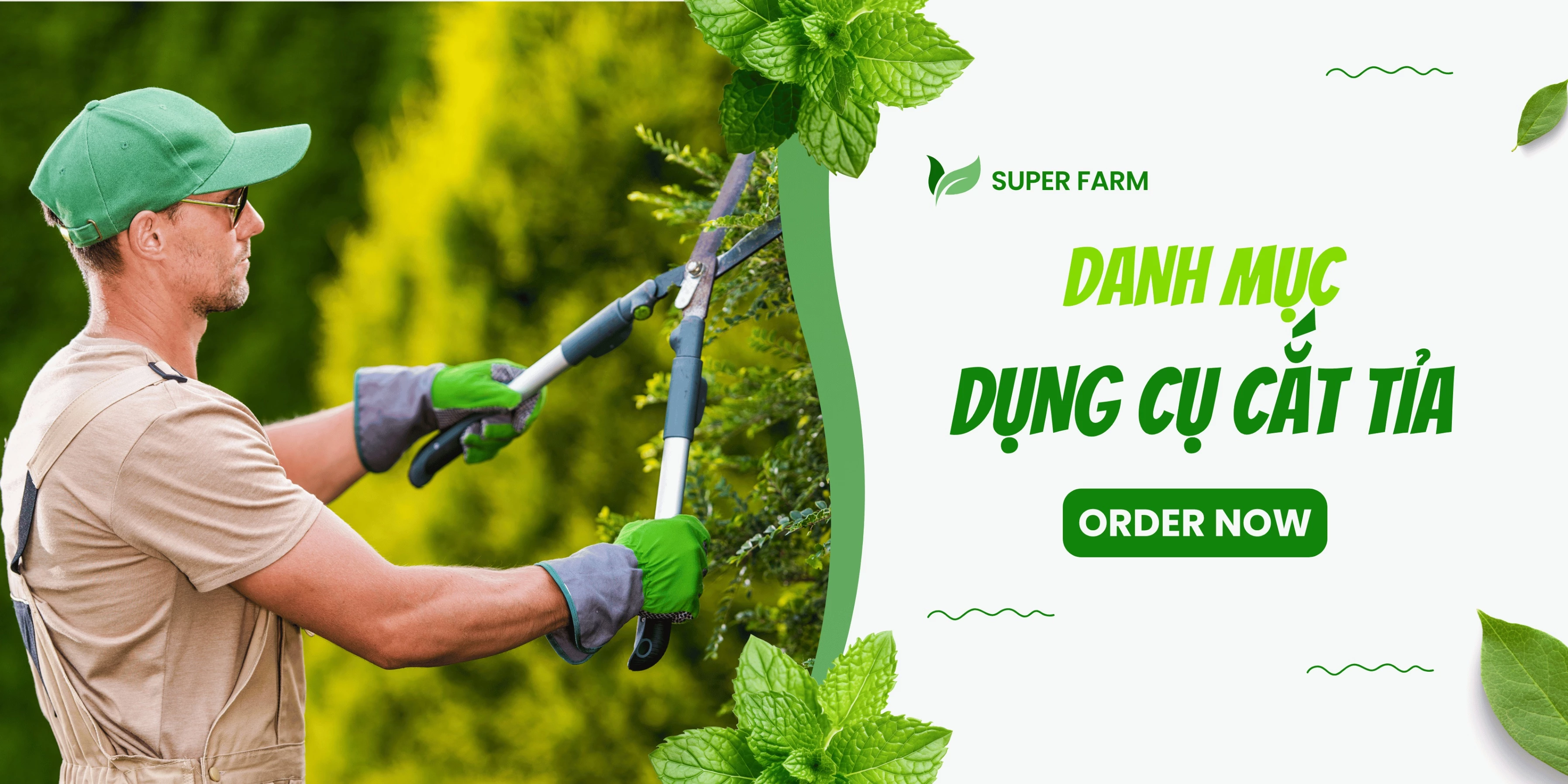 Dụng Cụ Cắt Tỉa