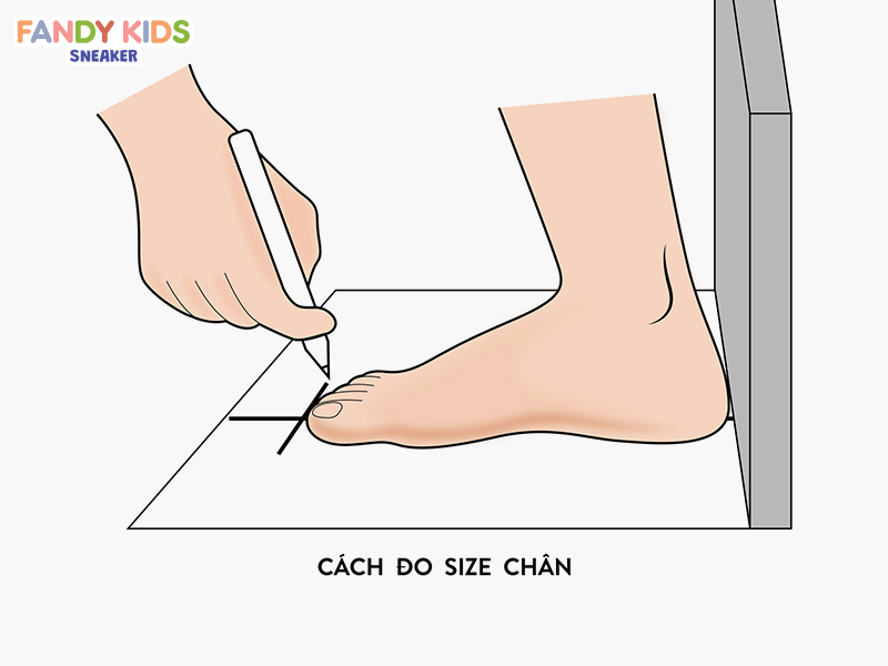 Vẽ kích cỡ bàn chân