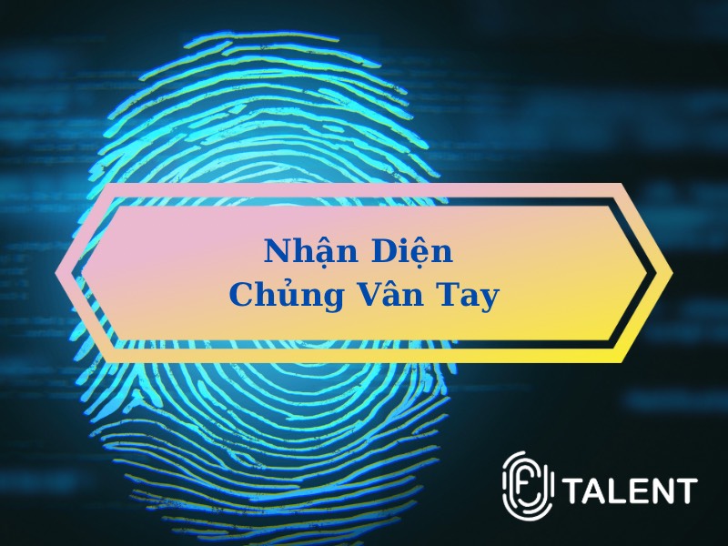 Nhận diện các chủng vân tay và ý nghĩa của chúng