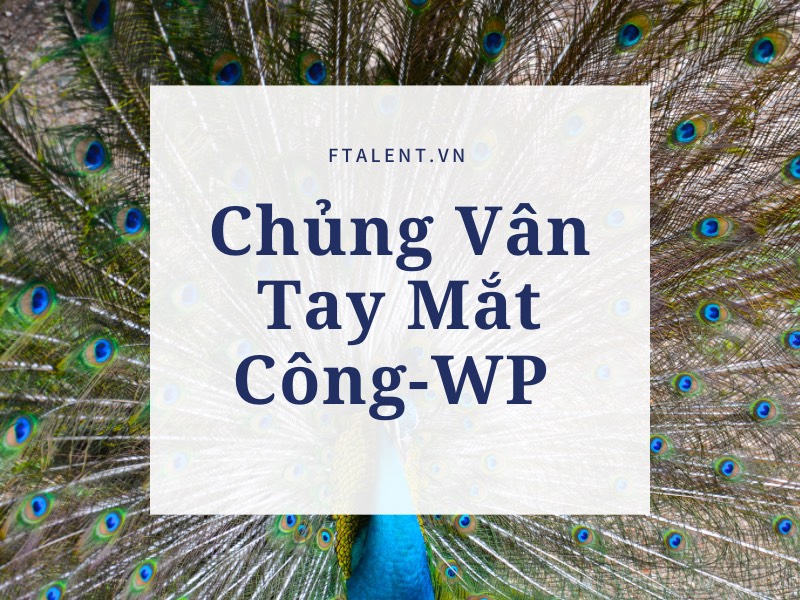 Chủng Vân Tay Mắt Công WP