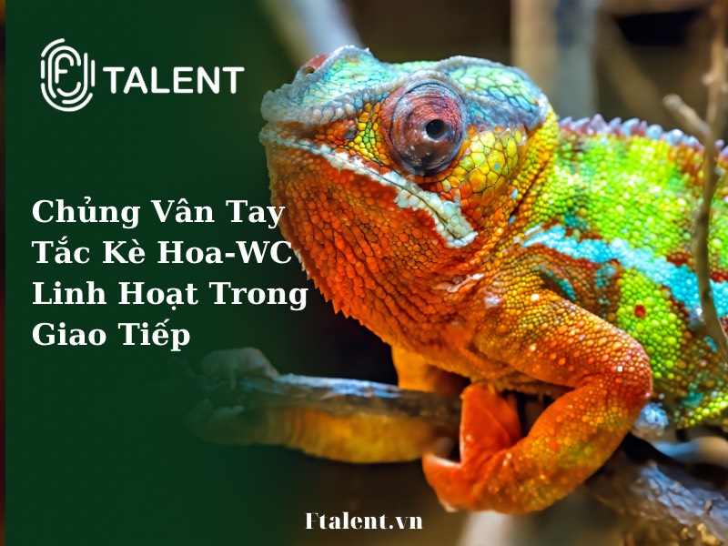 CHỦNG VÂN TAY TẮC KÈ HOA WD WC khả năng linh hoạt trong giao tiếp một cách rất tự nhiên! Bố mẹ cần giao tiếp với con như thế nào?